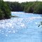 Old Kissimmee River