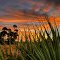 Okeechobee, Florida