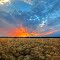 Okeechobee, Florida