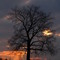 November Sunset near Fryburg, PA