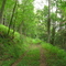 North Country Trail, Thompson Hill
