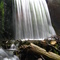 Pardise Springs