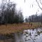 Des Moines Lake Marsh late April 2011