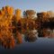 The Far Side of the Pond