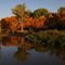 Autumn Afternoon