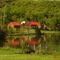 A  SPRING  DAY >>>>> BY THE Pond>>>>>>>