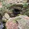 Lehigh Gorge Tributary