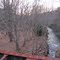 Sandy Run Upstream