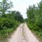 Red River Ox Cart Trail remnant near Baxter Minnesota