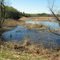 Brainerd, Minnesota.  A picturesque wetland area somewhere by Gull Lake, I believe along County Rd 77.