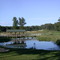 Madden's Classic, Hole 17, looking at 16.