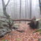 Split Rock Trail