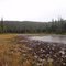 Moose Meadows