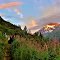 Nicest hike you can get in Alaska.
