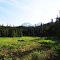 Ptarmigan Lake Trail