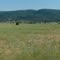 Site of the Golden State Star Party-- looking southwest