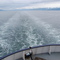 Alaska State Ferry M/V Tustumena Near Seldovia, Alaska