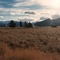 Suprise Valley, California