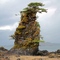 Pittoresque rock on Mertz Island, Sitka.
