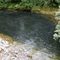 Indian River Salmon, Sitka, Alaska