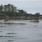 Sitka Sound, Inside Passage
