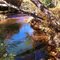 Anderson Creek