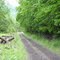 Old railroad tracks