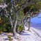 St. Joe State Park, Fl