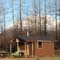 Upper Alsek Cabin