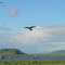 Togiak, view from Fish House