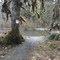 Upper area of Situk river