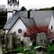 Little White Church