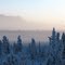 Winter wonderland in fog, looking south.  Dec-27-2009