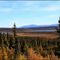 Trail Lake, Glenn Hwy 14.9.2010 ... C