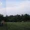 Moon Dancer Winery