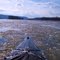 Winter Kayak