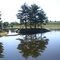 Lake Tobias