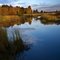 Presque Isle Lagoons