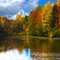 Autumn's Reflection