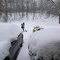 Winter in Elison Park, Pitsburgh, Pa, USA