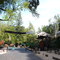 Buena Vista Winery Sonoma, CA