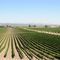 View from Gloria Ferrer Winery - Sonoma CA