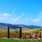 Viansa Winery - Sonoma California