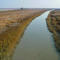 Skaggs Island