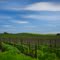 Sonoma County