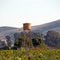 Water tower north of San Francisco　サンフランシスコ北部の給水塔