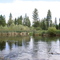 Nora Lake Near Shingletown, California