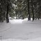 Upper Shingletown in Winter #1