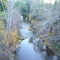 Sonoma Creek