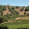 Napa near Hess Collection Winery
